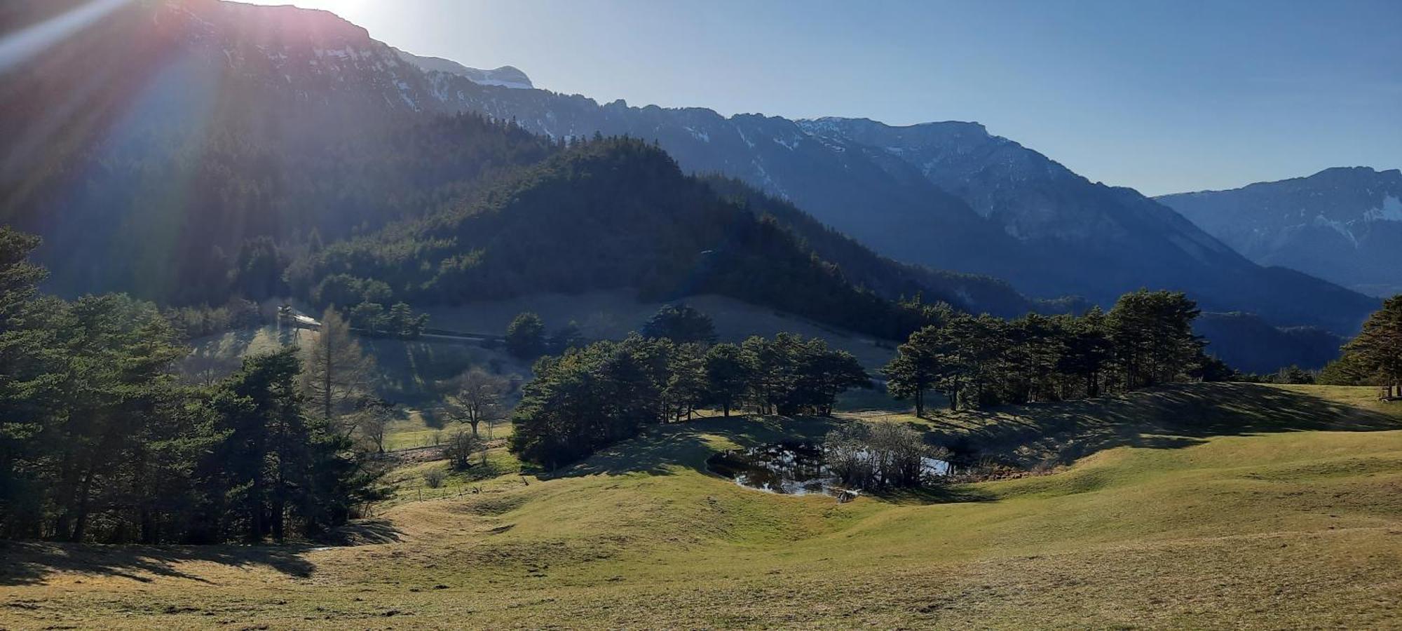 Les Vagabonds Du Mont Bed & Breakfast Chichilianne Exterior foto